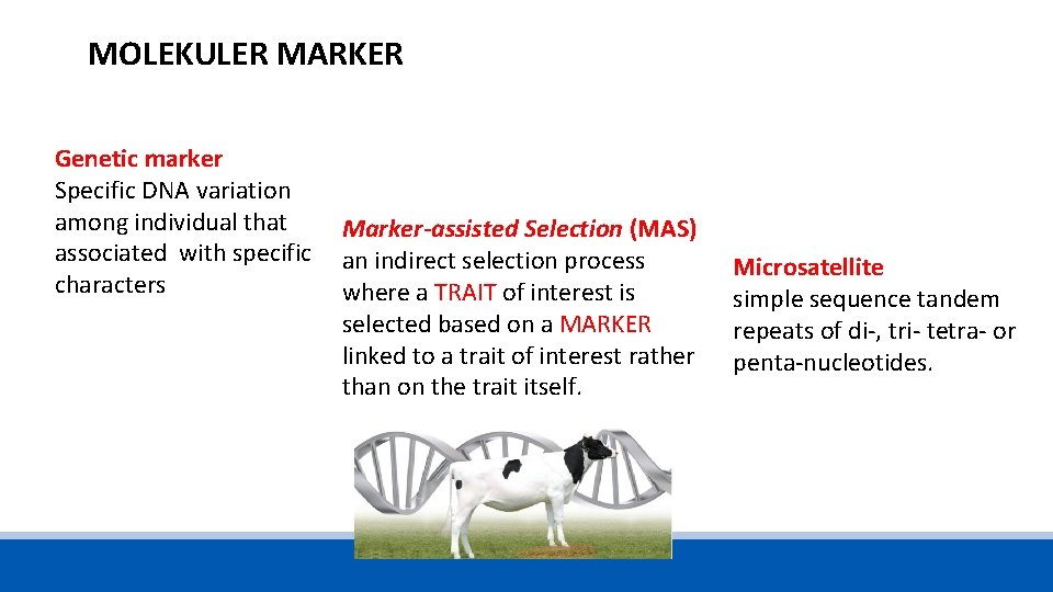 MOLEKULER MARKER Genetic marker Specific DNA variation among individual that associated with specific characters