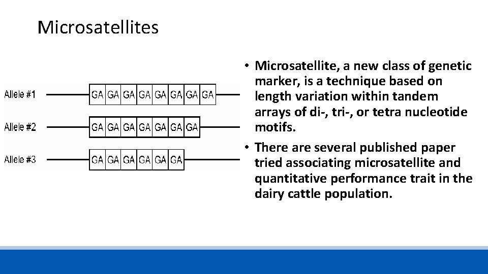 Microsatellites • Microsatellite, a new class of genetic marker, is a technique based on