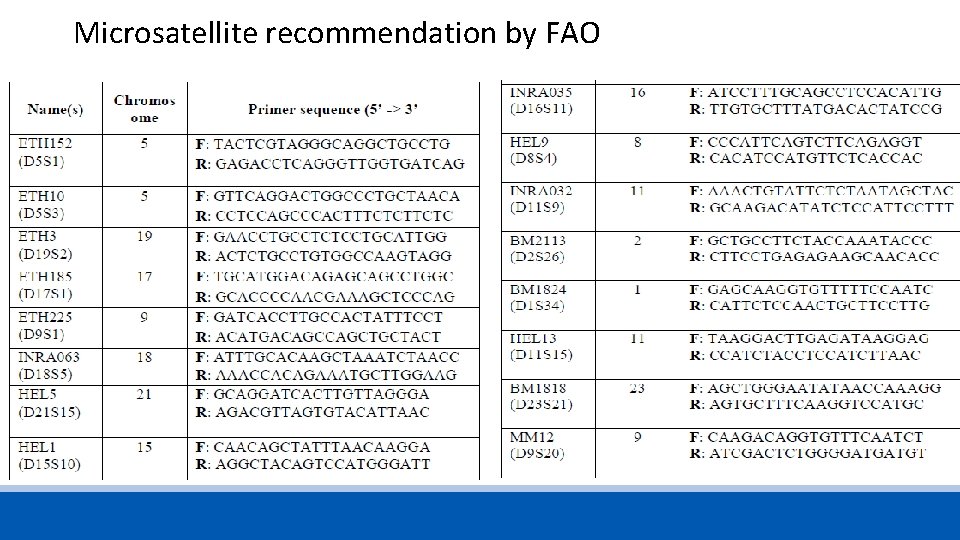 Microsatellite recommendation by FAO 