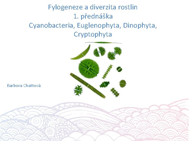 Fylogeneze a diverzita rostlin 1. přednáška Cyanobacteria, Euglenophyta, Dinophyta, Cryptophyta Barbora Chattová 