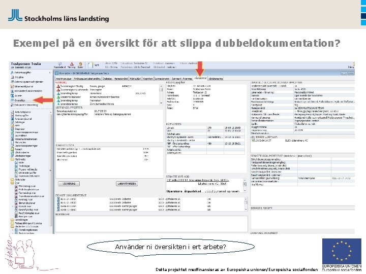 Exempel på en översikt för att slippa dubbeldokumentation? Använder ni översikten i ert arbete?