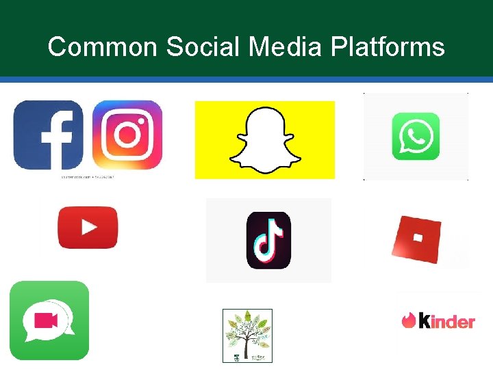 Common Social Media Platforms 