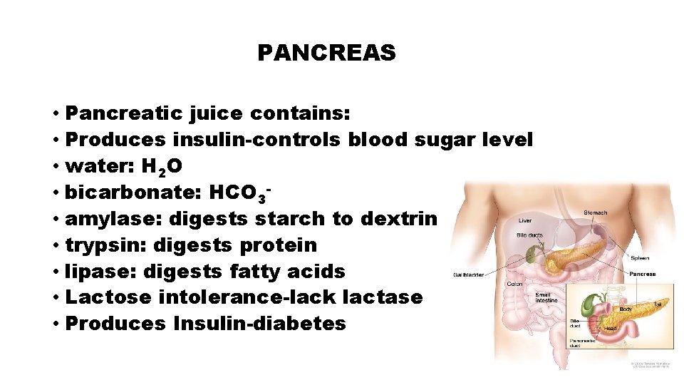 PANCREAS • Pancreatic juice contains: • Produces insulin-controls blood sugar level • water: H