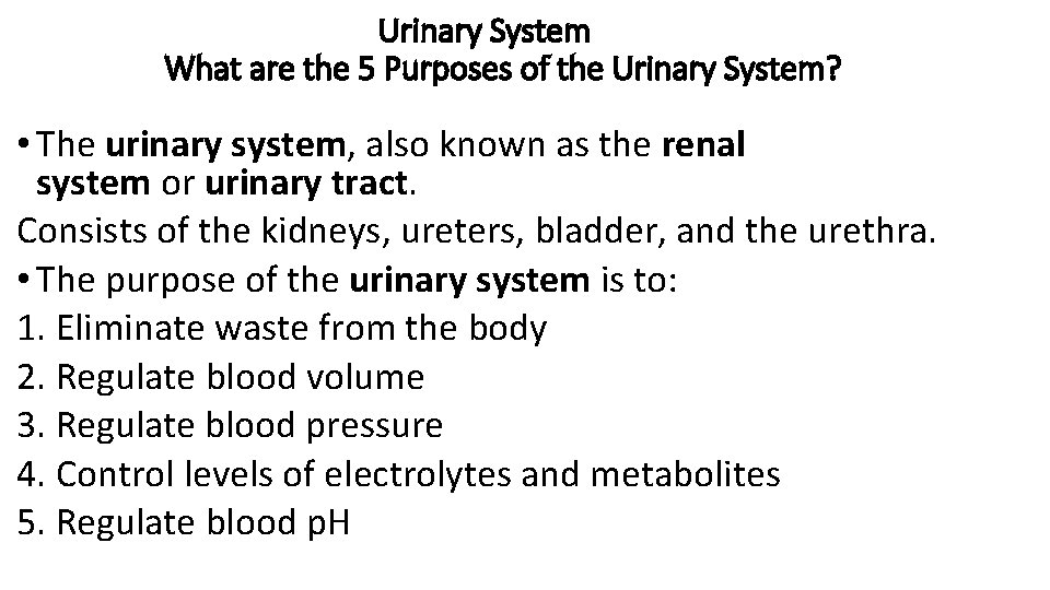 Urinary System What are the 5 Purposes of the Urinary System? • The urinary