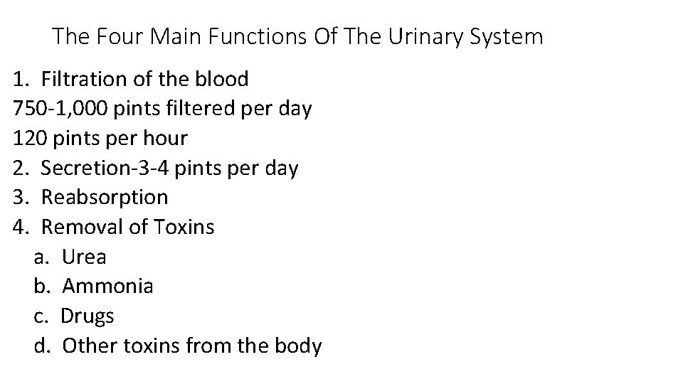 The Four Main Functions Of The Urinary System 1. Filtration of the blood 750