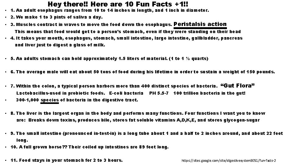 Hey there!! Here are 10 Fun Facts +1!! • 1. An adult esophagus ranges