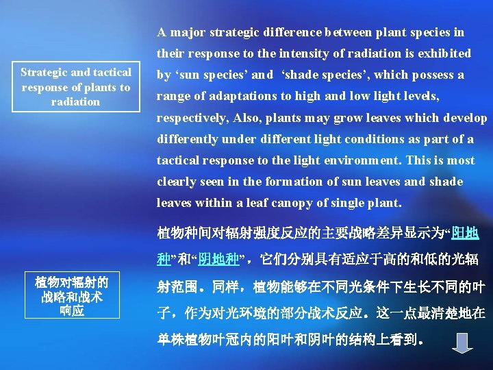 A major strategic difference between plant species in their response to the intensity of