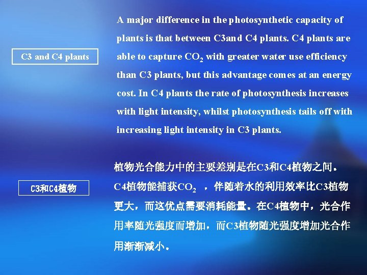 A major difference in the photosynthetic capacity of plants is that between C 3