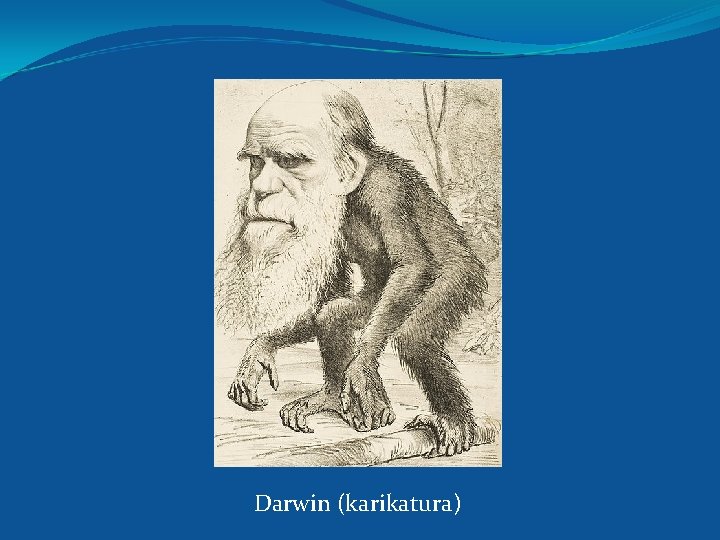 Darwin (karikatura) 