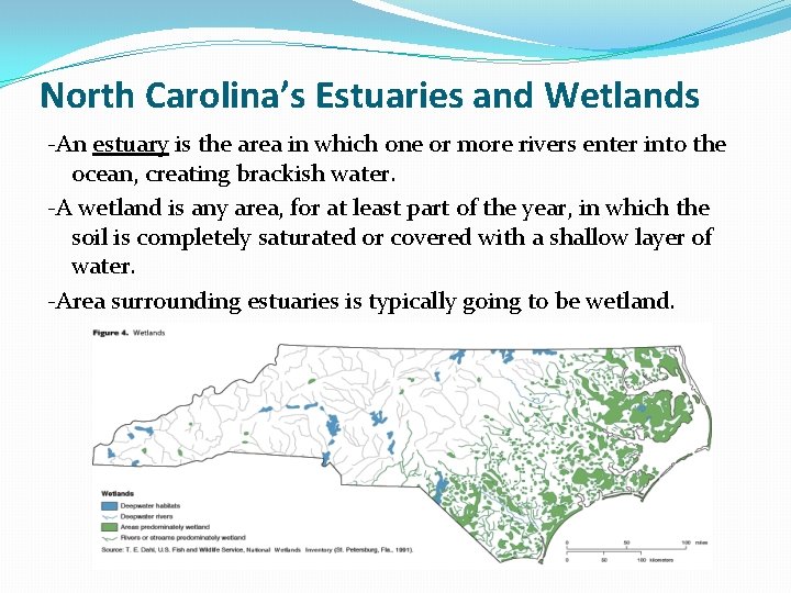 North Carolina’s Estuaries and Wetlands -An estuary is the area in which one or