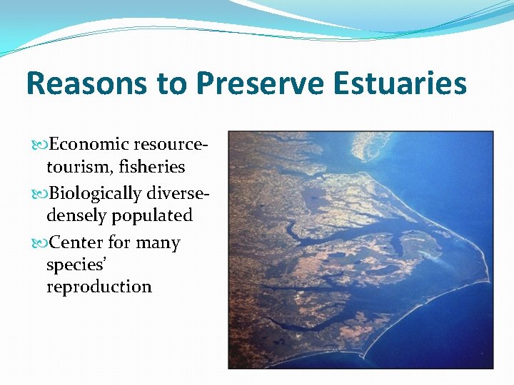 Reasons to Preserve Estuaries Economic resourcetourism, fisheries Biologically diversedensely populated Center for many species’