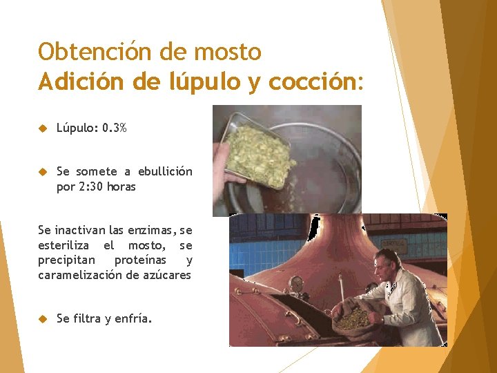 Obtención de mosto Adición de lúpulo y cocción: Lúpulo: 0. 3% Se somete a