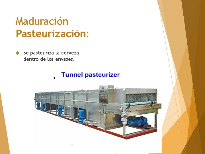 Maduración Pasteurización: Se pasteuriza la cerveza dentro de los envases. 