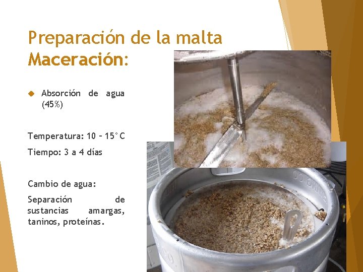 Preparación de la malta Maceración: Absorción de agua (45%) Temperatura: 10 – 15°C Tiempo: