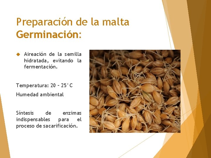 Preparación de la malta Germinación: Aireación de la semilla hidratada, evitando la fermentación. Temperatura: