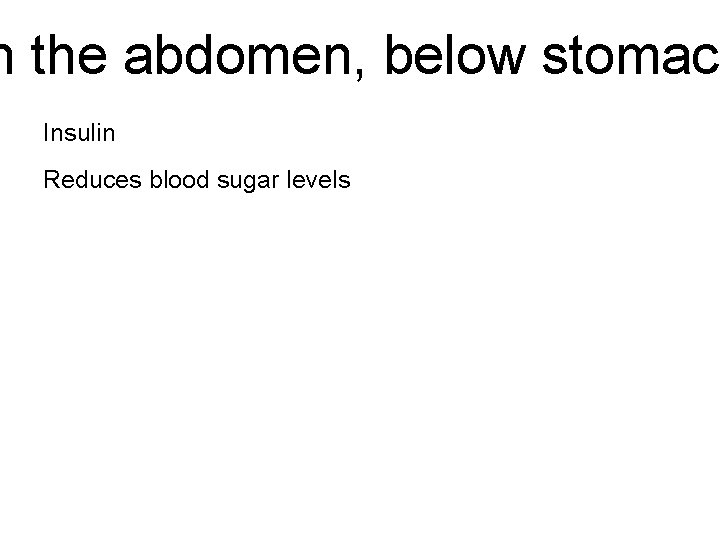 n the abdomen, below stomach Insulin Reduces blood sugar levels 