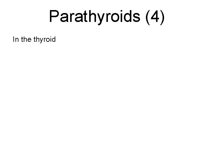 Parathyroids (4) In the thyroid 