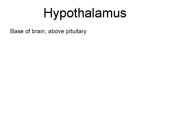 Hypothalamus Base of brain, above pituitary 