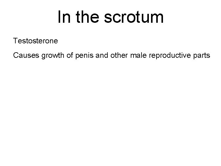 In the scrotum Testosterone Causes growth of penis and other male reproductive parts 