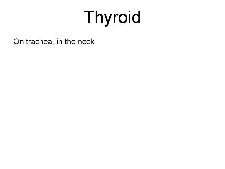 Thyroid On trachea, in the neck 