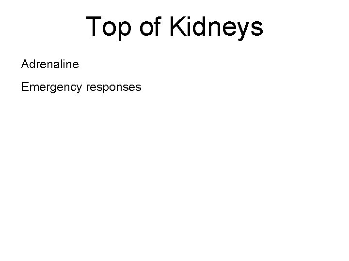 Top of Kidneys Adrenaline Emergency responses 