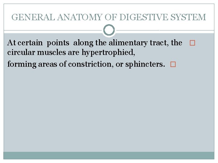 GENERAL ANATOMY OF DIGESTIVE SYSTEM At certain points along the alimentary tract, the �