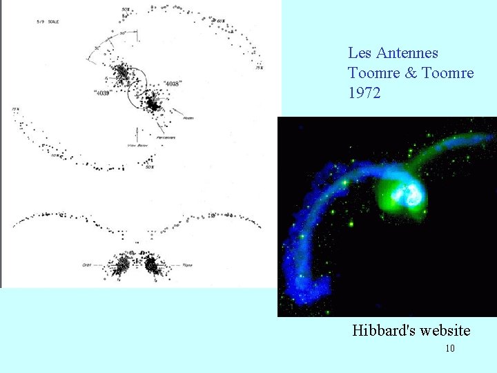 Les Antennes Toomre & Toomre 1972 Hibbard's website 10 