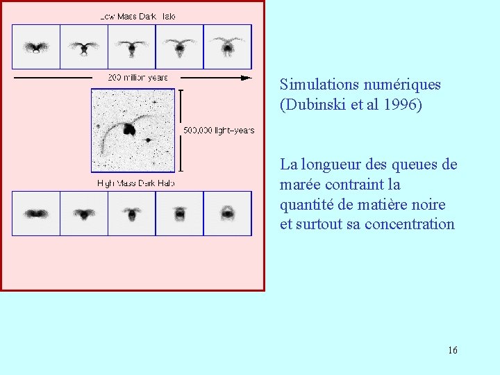 Simulations numériques (Dubinski et al 1996) La longueur des queues de marée contraint la