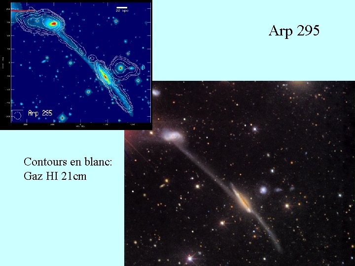 Arp 295 Contours en blanc: Gaz HI 21 cm 4 