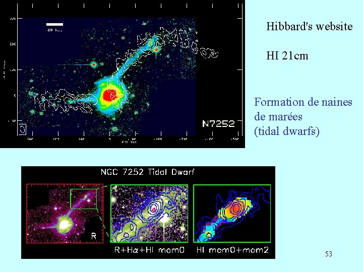 Hibbard's website HI 21 cm Formation de naines de marées (tidal dwarfs) 53 