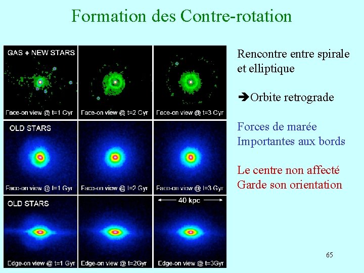 Formation des Contre-rotation Rencontre entre spirale et elliptique Orbite retrograde Forces de marée Importantes