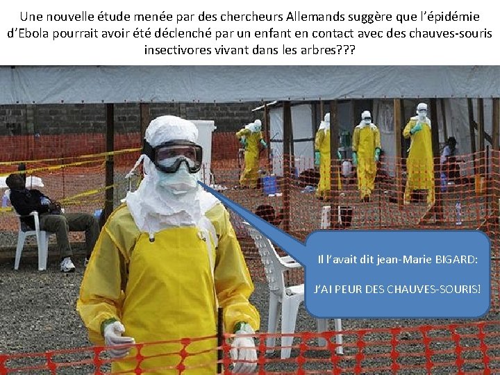 Une nouvelle étude menée par des chercheurs Allemands suggère que l’épidémie d’Ebola pourrait avoir