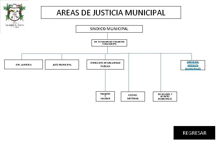 AREAS DE JUSTICIA MUNICIPAL SINDICO MUNICIPAL DIR. DE PLANEACION EVALUACION Y SEGUIMIENTO DIR. JURIDICA