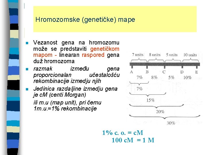 Hromozomske (genetičke) mape n n n Vezanost gena na hromozomu može se predstaviti genetičkom Hromozomske (genetičke) mape n n n Vezanost gena na hromozomu može se predstaviti genetičkom