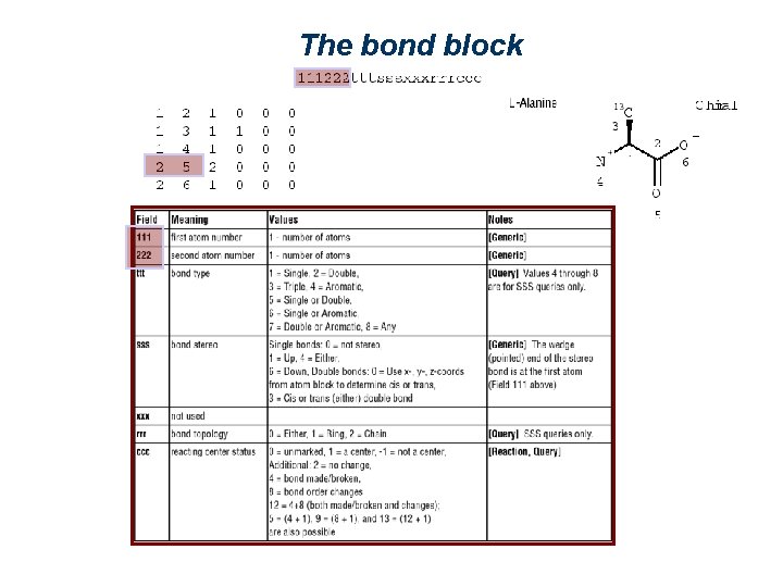 The bond block 