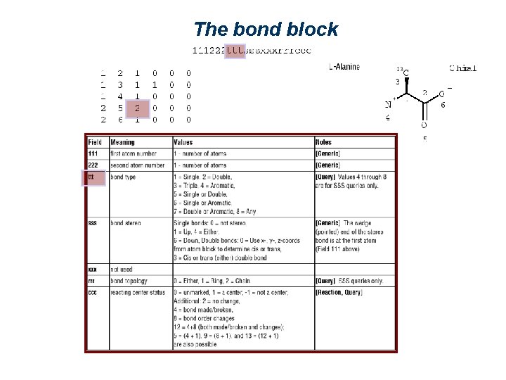 The bond block 