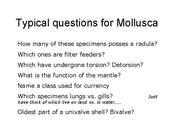 Typical questions for Mollusca How many of these specimens posses a radula? Which ones