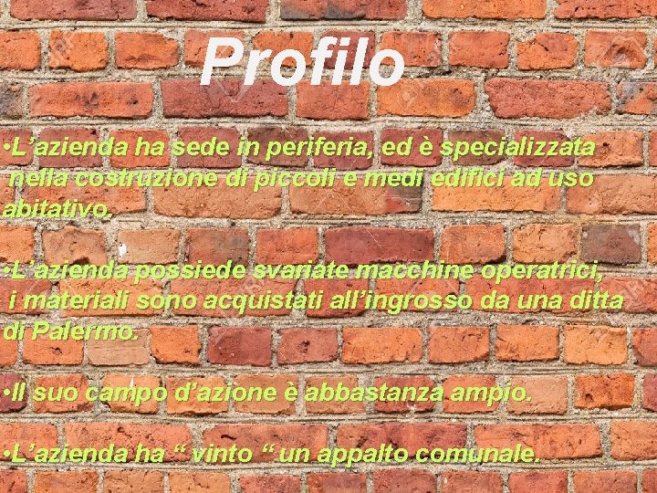 Profilo • L’azienda ha sede in periferia, ed è specializzata nella costruzione di piccoli