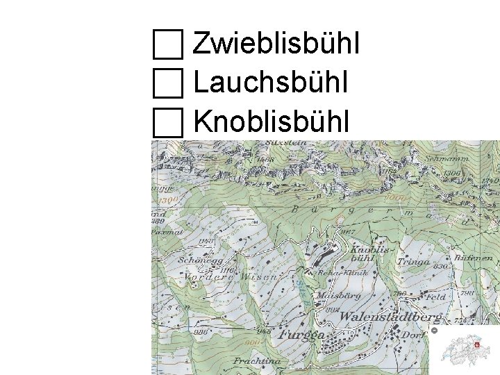  Zwieblisbühl Lauchsbühl Knoblisbühl 