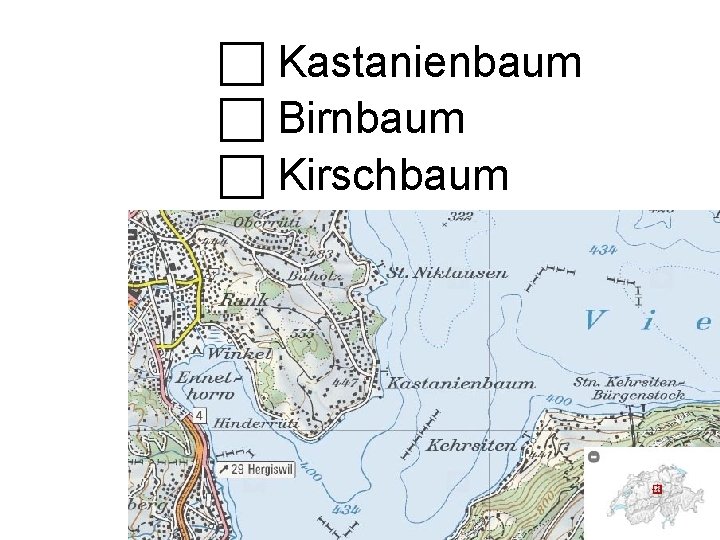  Kastanienbaum Birnbaum Kirschbaum 