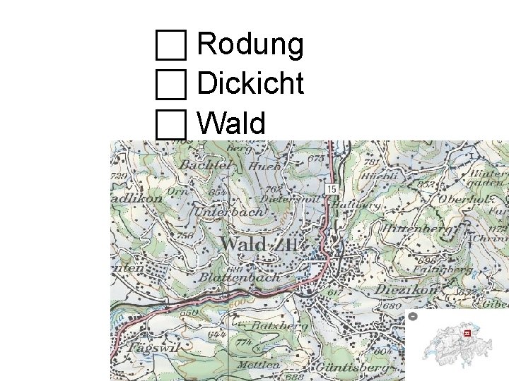  Rodung Dickicht Wald 