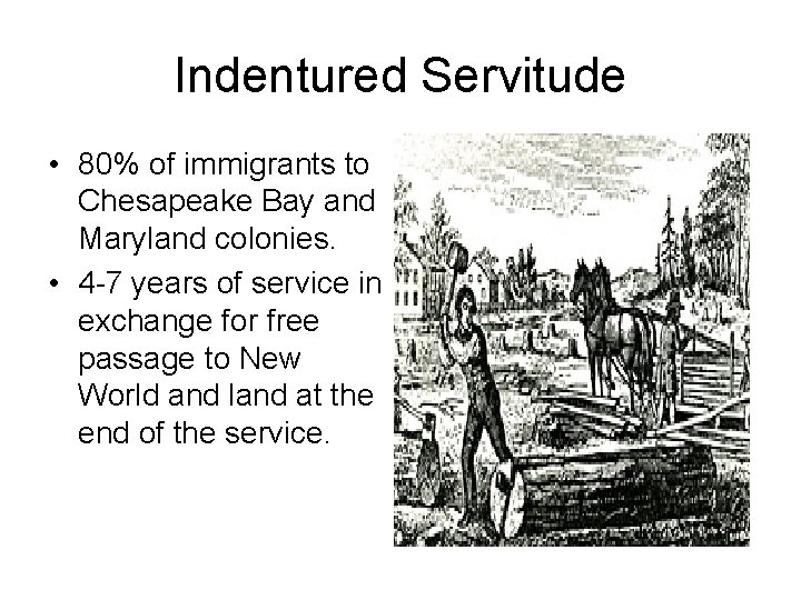 Indentured Servitude • 80% of immigrants to Chesapeake Bay and Maryland colonies. • 4