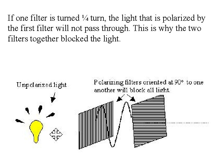 If one filter is turned ¼ turn, the light that is polarized by the