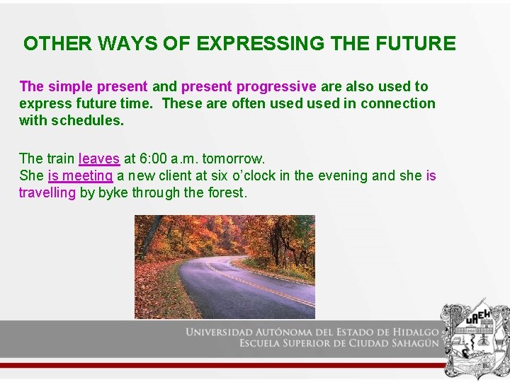 OTHER WAYS OF EXPRESSING THE FUTURE The simple present and present progressive are also