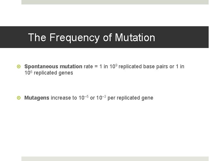 The Frequency of Mutation Spontaneous mutation rate = 1 in 109 replicated base pairs