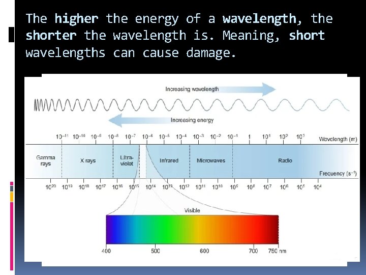The higher the energy of a wavelength, the shorter the wavelength is. Meaning, short