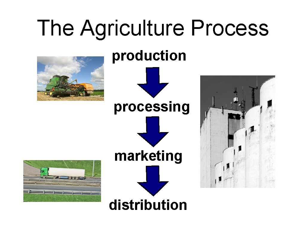 The Agriculture Process production processing marketing distribution 