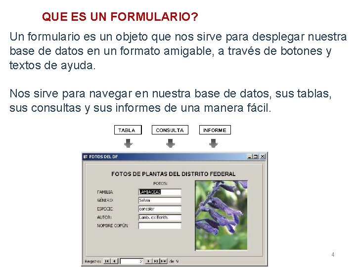 QUE ES UN FORMULARIO? Un formulario es un objeto que nos sirve para desplegar