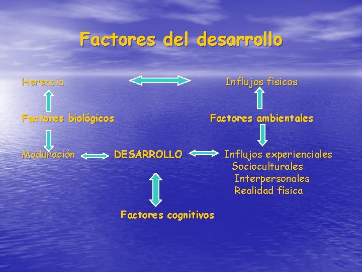 Factores del desarrollo Herencia Influjos físicos Factores biológicos Maduración Factores ambientales DESARROLLO Factores cognitivos