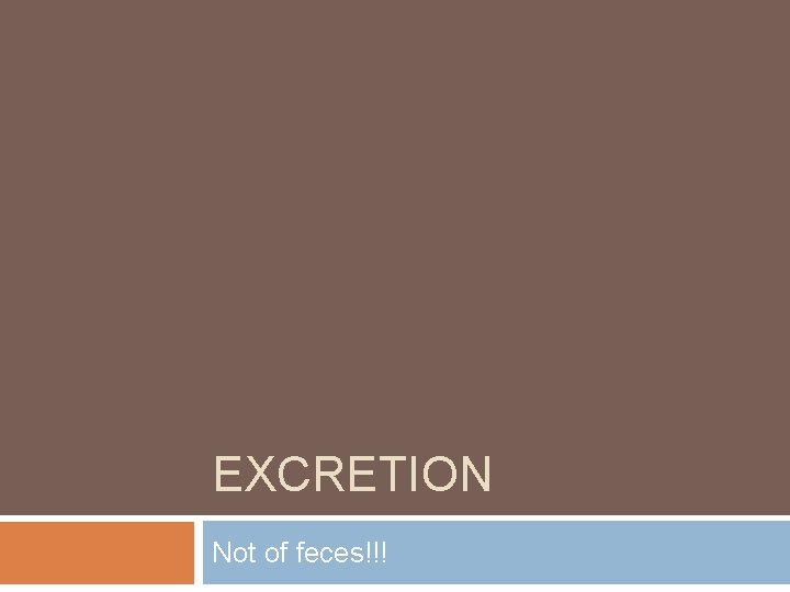EXCRETION Not of feces!!! 